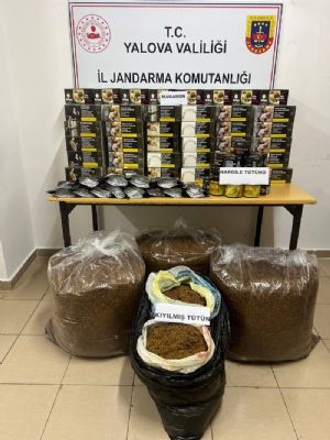 16-mayis-uluslararasi-colyak-gunu